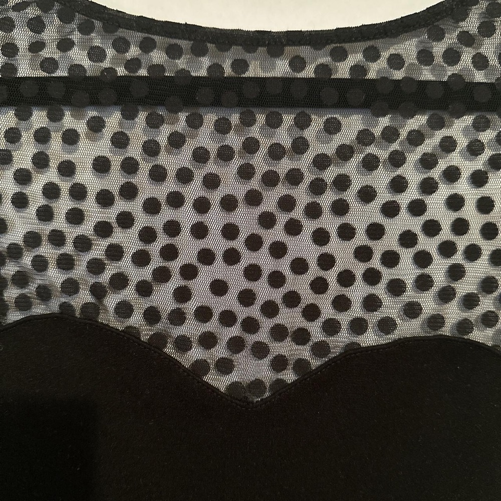 American Apparel polka dot lace long sleeve dress